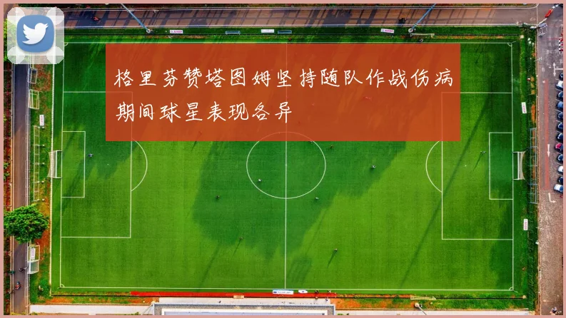 格里芬赞塔图姆坚持随队作战伤病期间球星表现各异