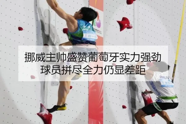 挪威主帅盛赞葡萄牙实力强劲 球员拼尽全力仍显差距